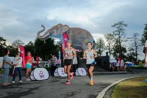 BIB: 
                            <button type="button" onclick="openModal(26529391)" class="btn btn-primary btn-sm float-right btn-popup" data-toggle="modal" data-target=".modal-high-quality">
                        <i class="fas fa-shopping-cart"></i> Add to Cart
                    </button>
                                            <button type="button" onclick="isThisMe(26529391, true)" class="btn btn-success btn-sm float-right btn-popup btn-isme hidden" data-toggle="tooltip" data-placement="bottom" title="นี่คือรูปของคุณใช่ไหม คลิกที่นี่เพื่อเอาเข้าอัลบั้ม">
                        <i class="fas fa-plus"></i> Add to album
                    </button>
                    <button type="button" onclick="isThisMe(26529391, false)" class="btn btn-warning btn-sm float-right btn-popup btn-isnotme hidden">
                        <i class="fas fa-ban"></i> Remove from album
                    </button>